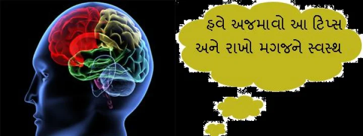 Brain