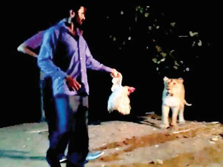 વનવિભાગની સંરક્ષણ