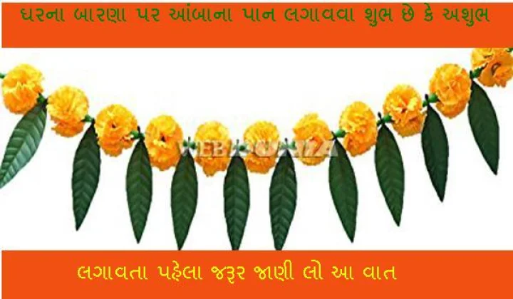 આંબાના પાન