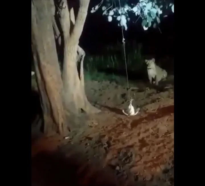 પ્રતિબંધ