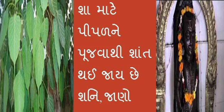 why worship of peepal tree