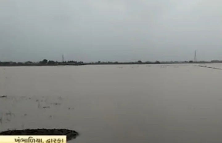 સૌરાષ્ટ્ર  વરસાદ