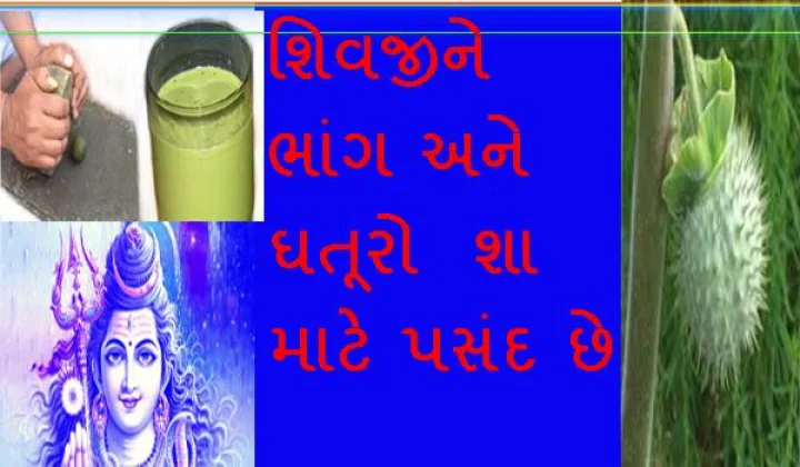 મહાશિવરાત્રી