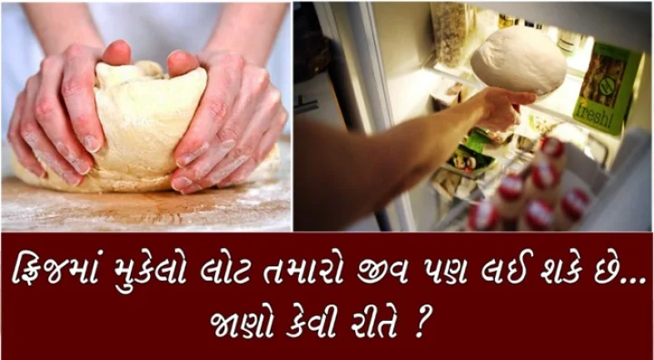 ફ્રિજમાં મુકેલો લોટ