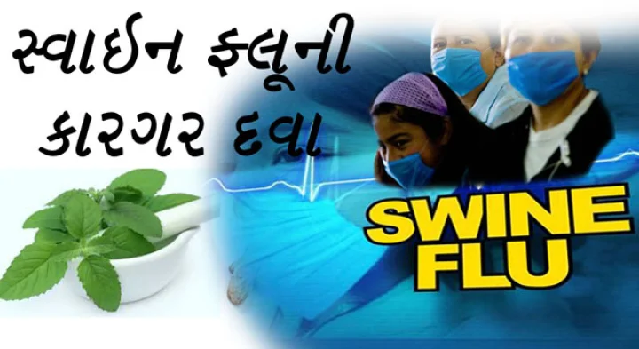 Swine Flu