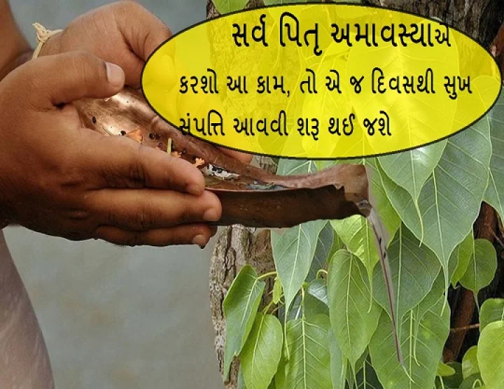સર્વ પિતૃ અમાવસ્યા