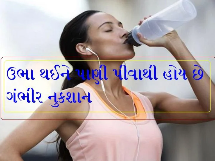 ઉભા થઈને પાણી પીવાથી હોય છે ગંભીર નુકશાન