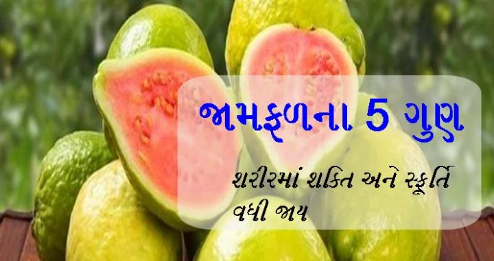 જામફળ