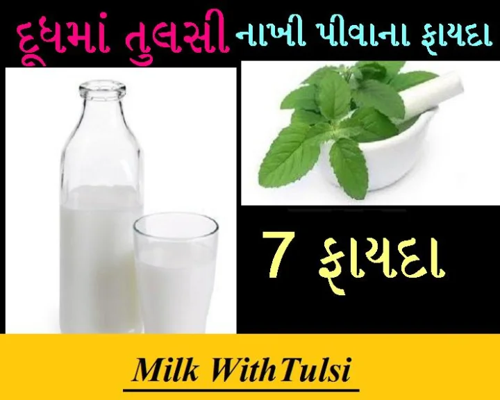 દૂધમાં તુલસી