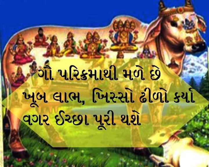 ગાયની  પરિક્રમા