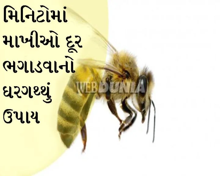 Kitchen Hacks in gujarati