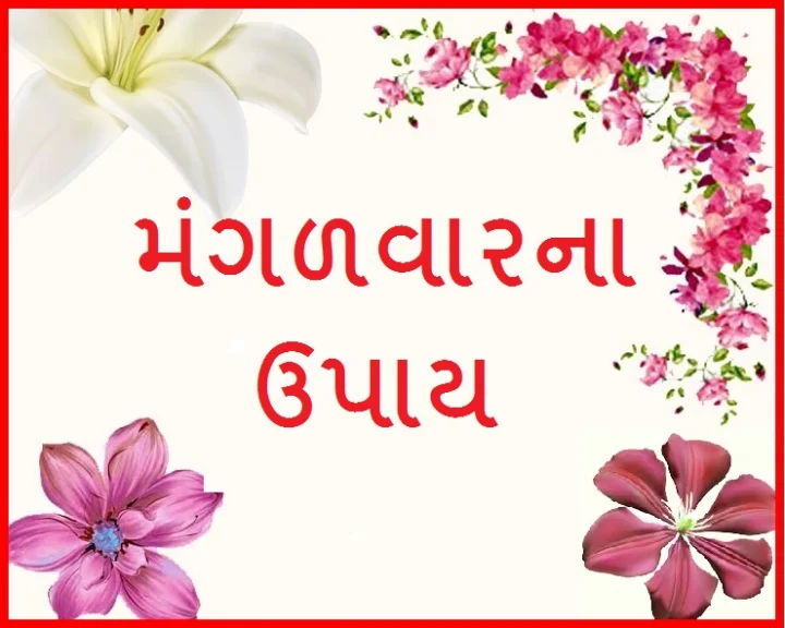 મંગળવાર