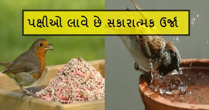 વાસ્તુ ટિપ્સ 