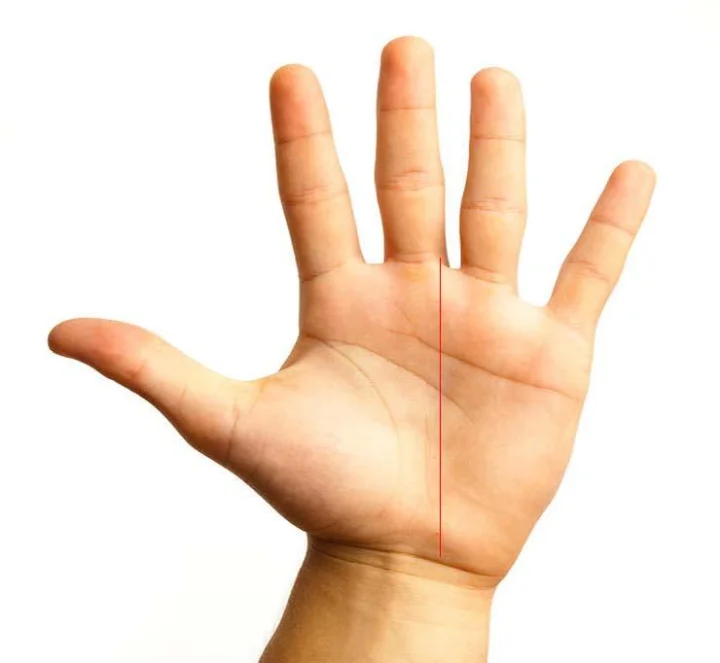 palm astrology prediction