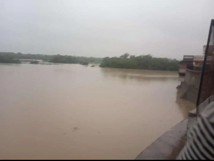 This bridge will be inaugurated on Meshwo river