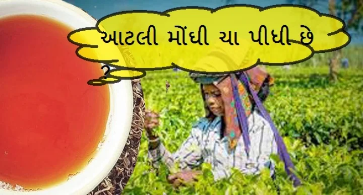 ગોલ્ડન બટરફ્લાય