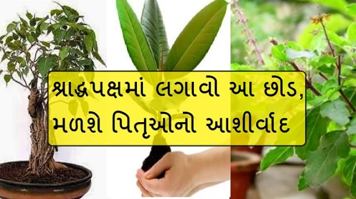 પિતૃ પક્ષ