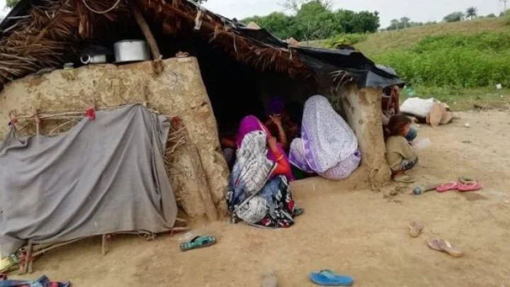 ગુજરાત સમાચાર