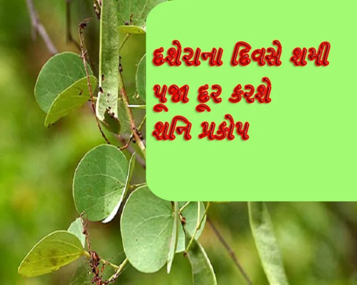dussera shami puja importance