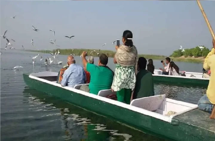 nal sarovar boating starts again
