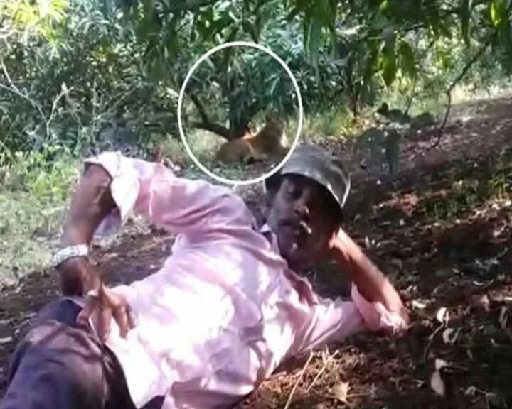 Junagadh Video viral news