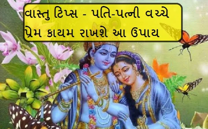 વાસ્તુ ટિપ્સ