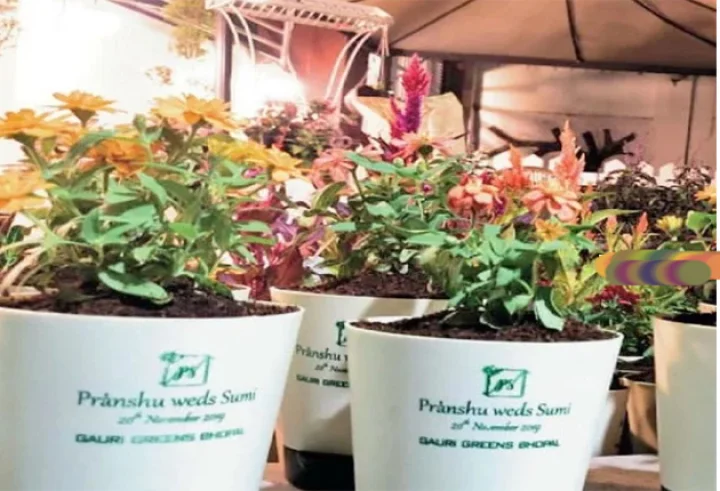 in Bhopal wedding invitation in flower pot