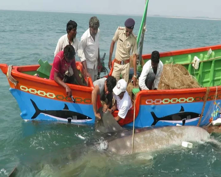 20 Gujarat fishermen jailed in Pakistan to be released tomorrow