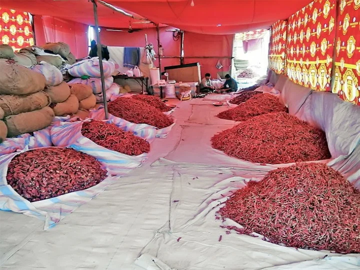 Red Chilli