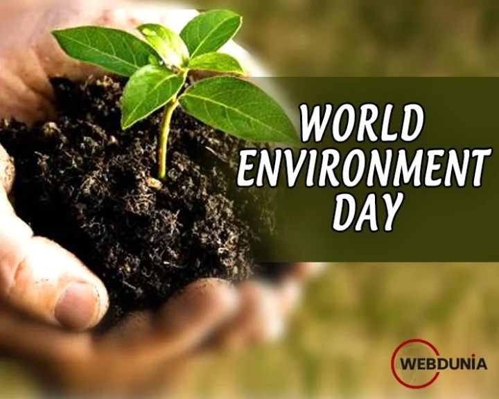 World Environment Day  કેમ ઉજવાય છે વિશ્વ પર્યાવરણ દિવસ