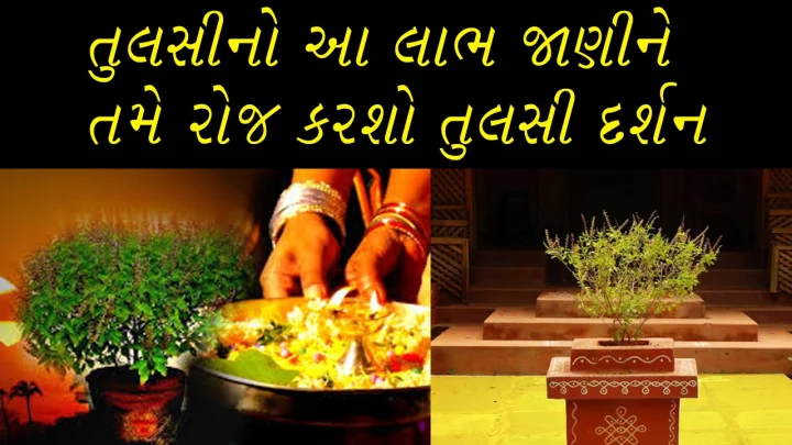 મહાલક્ષ્મીની કૃપા 