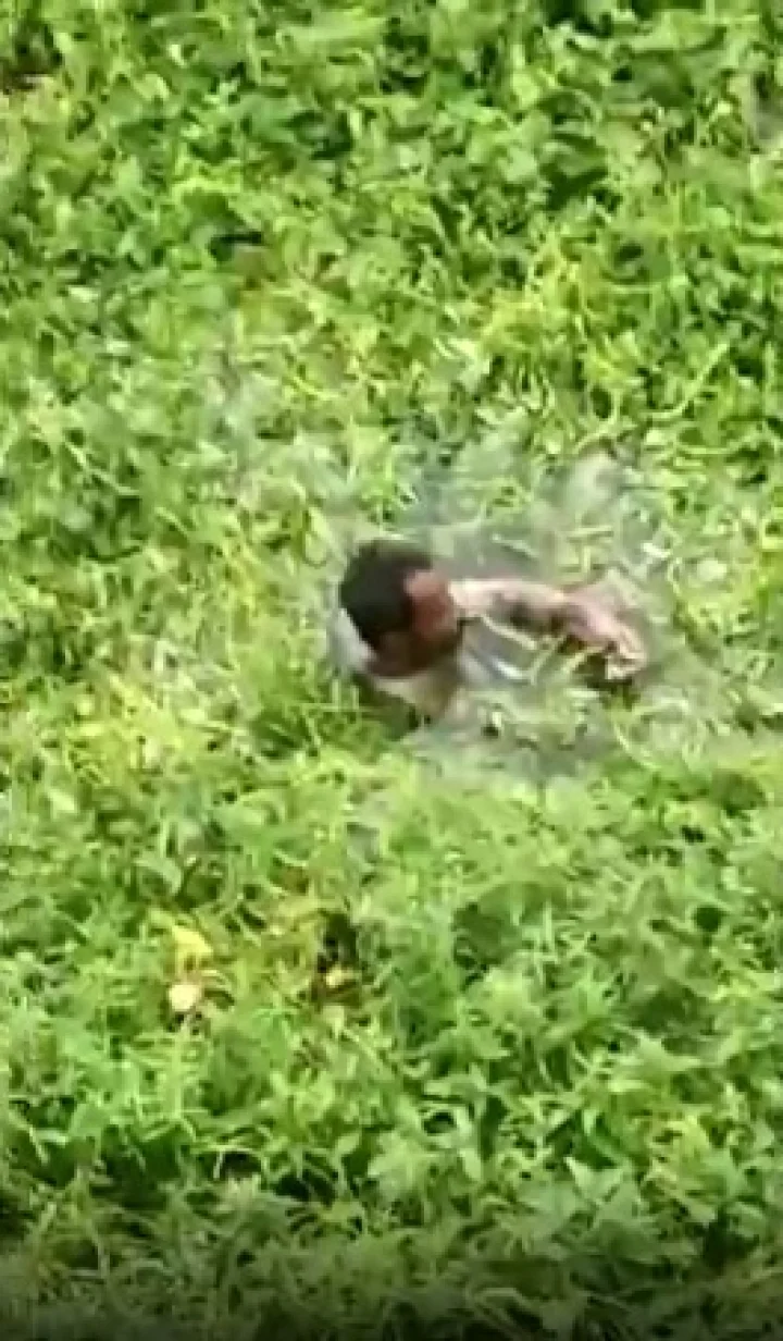 રામ રાખે તેને કોણ ચાખે