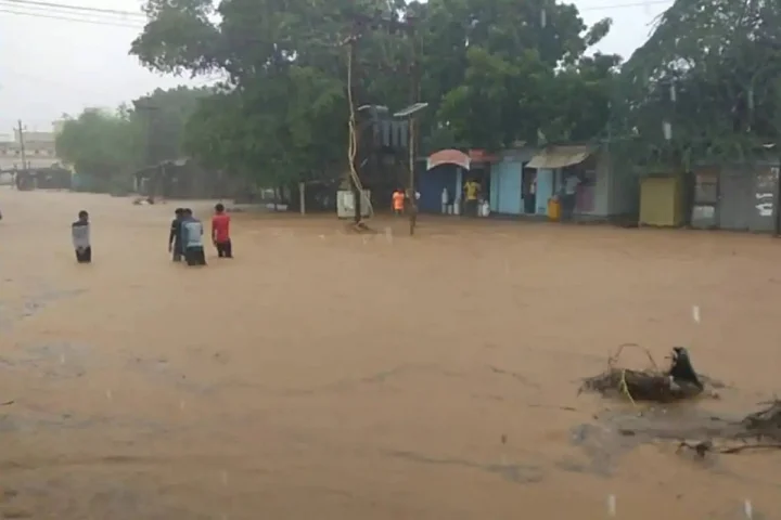 ગુજરાતમાં ઠેર ઠેર વરસાદ