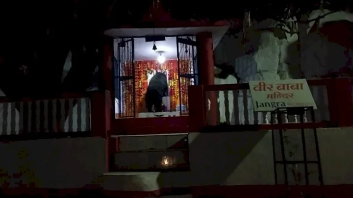 The bear that entered this temple of Mount Abu