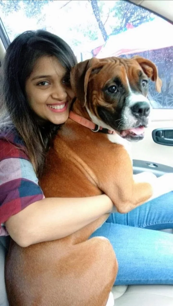 Gujarat News in Gujarati