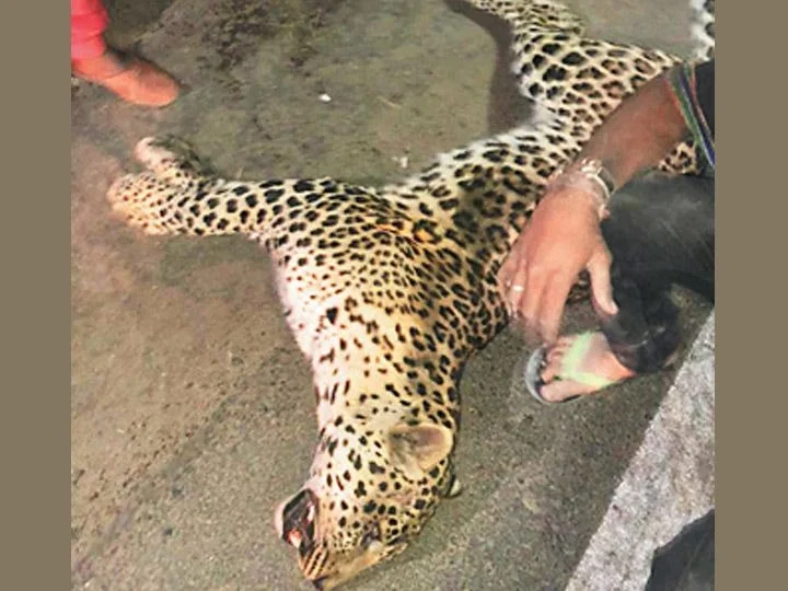 ઓડિશાના નુઆપાડા