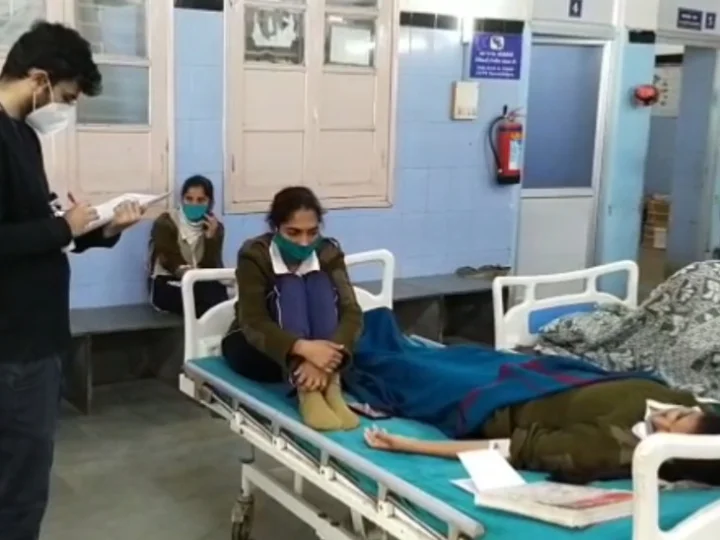 vadodara bird flu news
