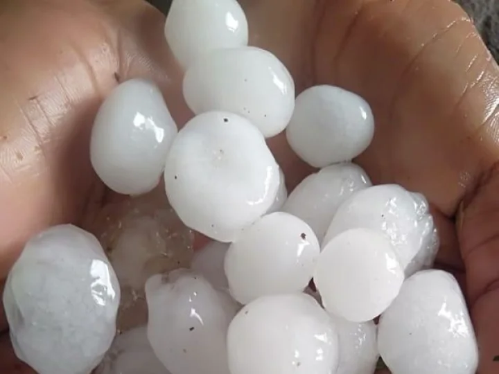 કચ્છ જિલ્લા