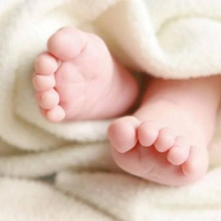 સુરતની જાણીતી હોટલ