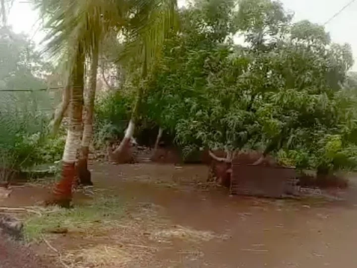 The Department of Agriculture has issued guidelines for farmers