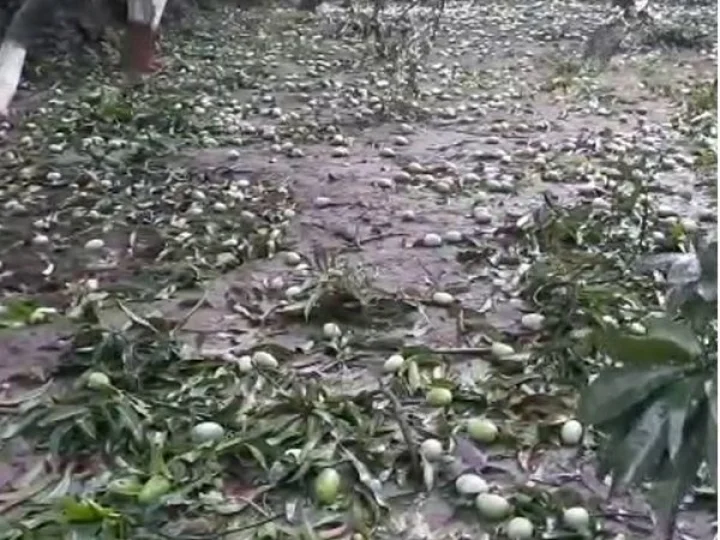 તૌકતે વાવાઝોડુ