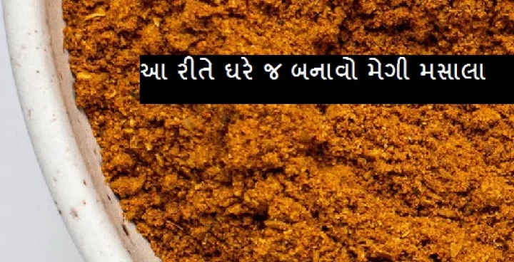 meggi masala