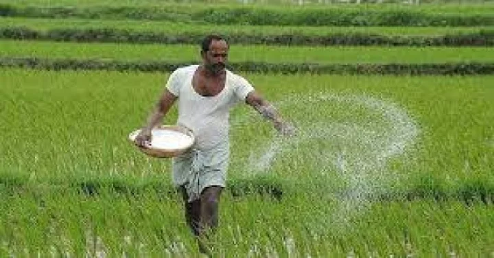 farmer