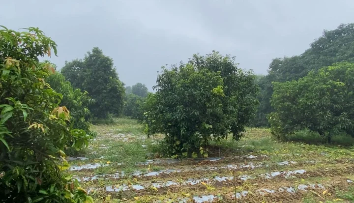 ખેડૂતોને મળશે મોટી રાહત