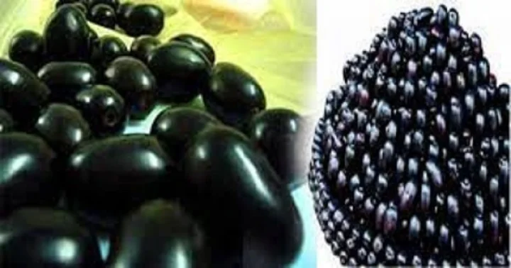 જાંબુનો સેવન