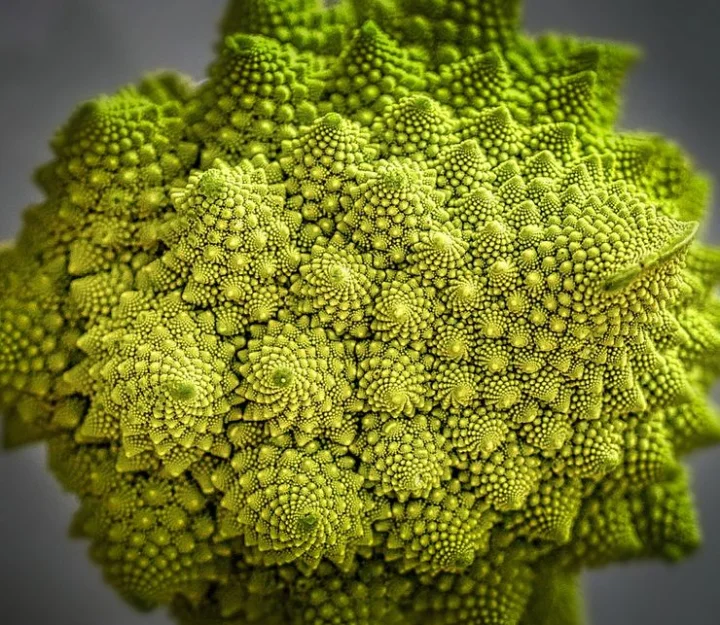 Romanesco Cauliflower