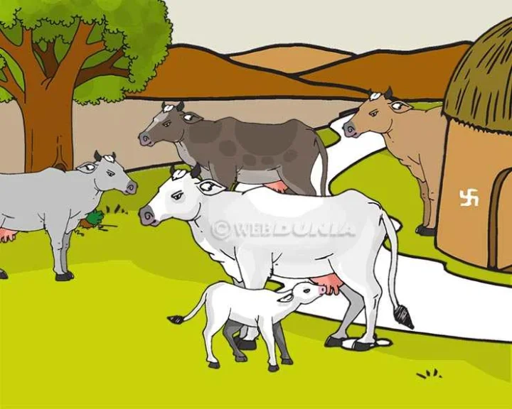 essay on cow