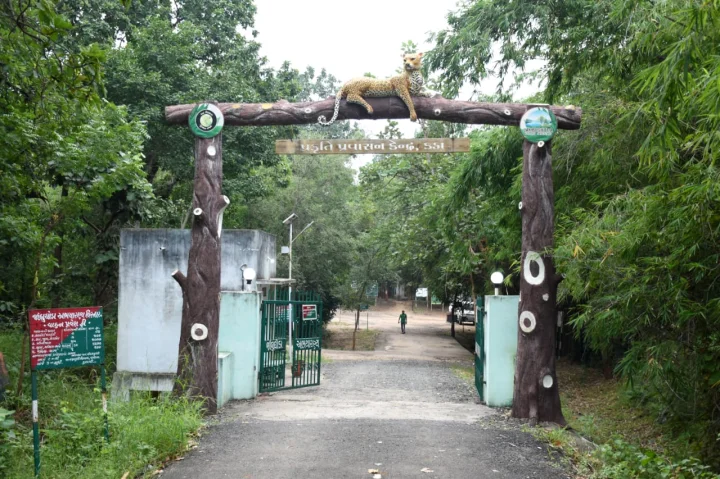 nature love jambughoda