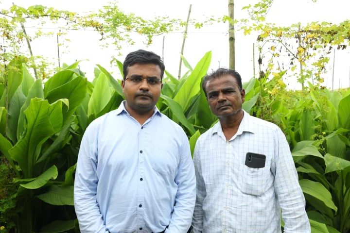 model form yuva