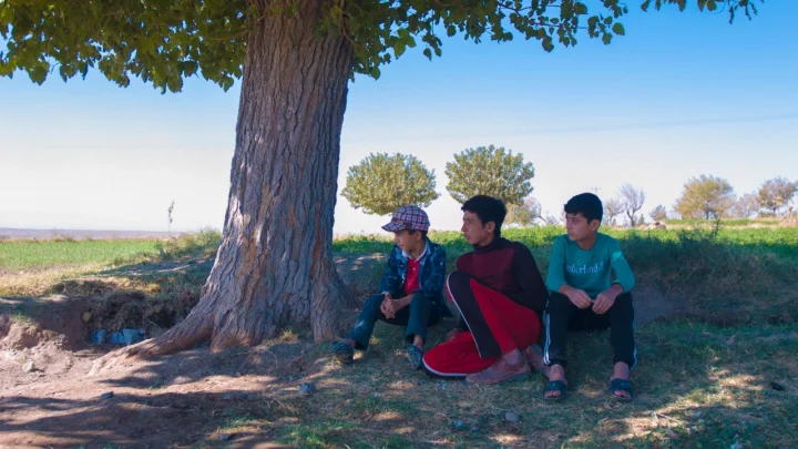 અમદાવાદ ઇન્ટરનેશનલ ચિલ્ડ્રન ફિલ્મ ફેસ્ટિવલ યુટ્યૂબ ચેનલ પર 24 અને 25 ડિસેમ્બરે ઓનલાઇન યોજાશે